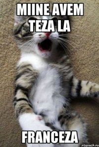 Miine avem teza la FRANCEZA