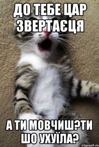 до тебе цар звертаєця а ти мовчиш?ти шо ухуїла?