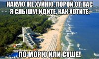 какую же хуйню, порой от вас я слышу! идите, как хотите: по морю или суше!