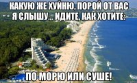 какую же хуйню, порой от вас я слышу... идите, как хотите: по морю или суше!