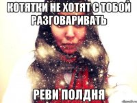Котятки не хотят с тобой разговаривать РЕВИ ПОЛДНЯ