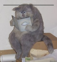 _____________________ 