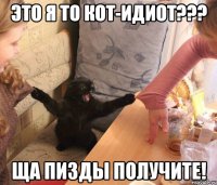 Это я то кот-идиот??? Ща пизды получите!