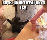 коты за интеграцию с ЕС!!! 