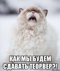  Как мы будем сдавать теорвер?!