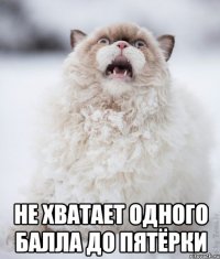  Не хватает одного балла до пятёрки