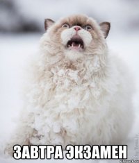  Завтра экзамен
