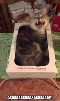  АХАХАХАХАХАХАХАХАХА!!!