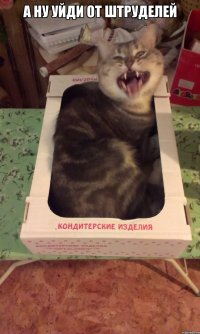 А ну уйди от штруделей 