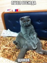 ПШОЛ ОТСЮДА ЩКНОК