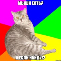 МЫШИ ЕСТЬ? А ЕСЛИ НАЙДУ!?