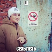 Ш Сехьлезь