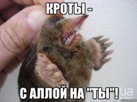 КРОТЫ - с Аллой на "ты"!