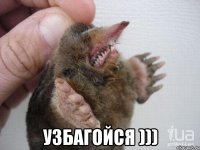  УЗБАГОЙСЯ )))