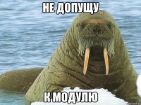 не допущу к модулю