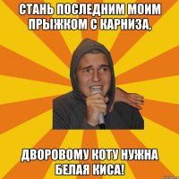 Стань последним моим прыжком с карниза, Дворовому коту нужна белая киса!