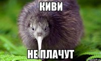 Киви НЕ ПЛАЧУТ