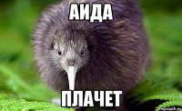 Аида ПЛАЧеТ
