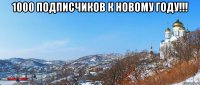 1000 подписчиков к новому году!!! 