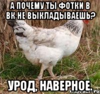 А почему ты фотки в ВК не выкладываешь? Урод, наверное.
