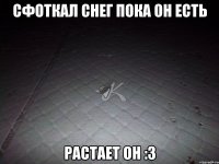 Сфоткал снег пока он есть растает он :3