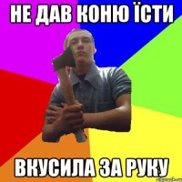 не дав коню їсти вкусила за руку