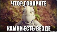 Что?,говорите камни есть везде