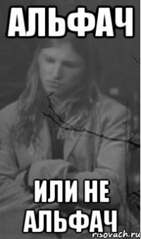 альфач или не альфач
