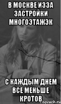 В москве изза застройки многоэтажэк с каждым днем все меньше кротов
