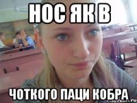 нос як в чоткого паци кобра
