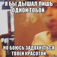 Я бы дышал лишь одной тобой, Но боюсь задохнуться твоей красотой