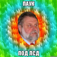 паук под ЛСД