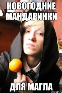 новогодние мандаринки для магла