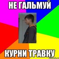 НЕ ГАЛЬМУЙ КУРНИ ТРАВКУ