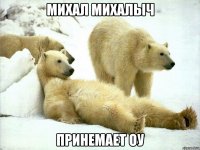 Михал Михалыч принемает ОУ