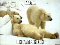мала пива принеси