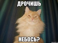 Дрочишь небось?