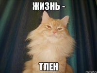 Жизнь - тлен
