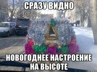 Сразу видно новогоднее настроение на высоте