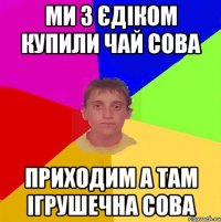 ми з єдіком купили чай сова приходим а там ігрушечна сова