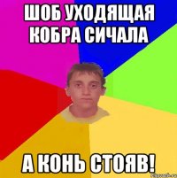 ШОБ УХОДЯЩАЯ КОБРА СИЧАЛА А КОНЬ СТОЯВ!