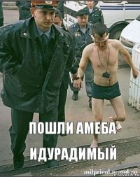 Пошли амеба идурадимый