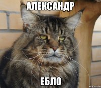 АЛЕКСАНДР ЕБЛО