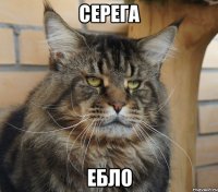 СЕРЕГА ЕБЛО