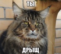 ТЫ ДРЫЩ