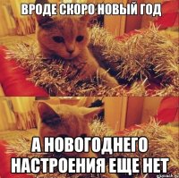  а новогоднего настроения еще нет