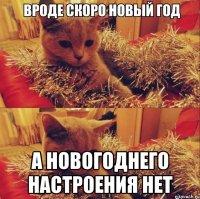  а новогоднего настроения нет