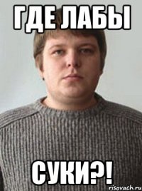 где лабы суки?!