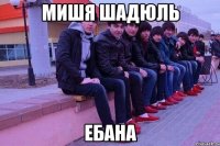 Мишя Шадюль Ебана