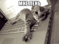 Мне Лень 